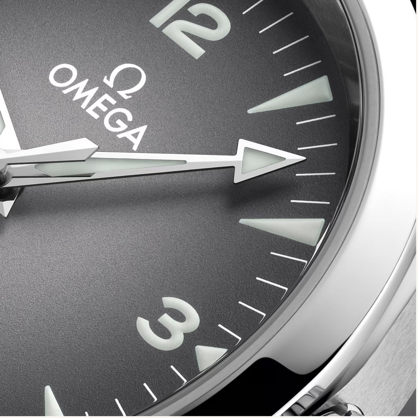 OMEGA SEAMASTER RAILMASTER