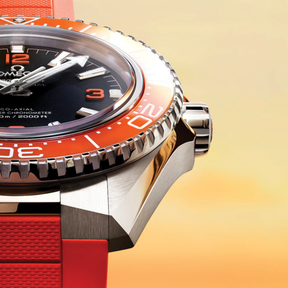 OMEGA SEAMASTER PLANET OCEAN 600M