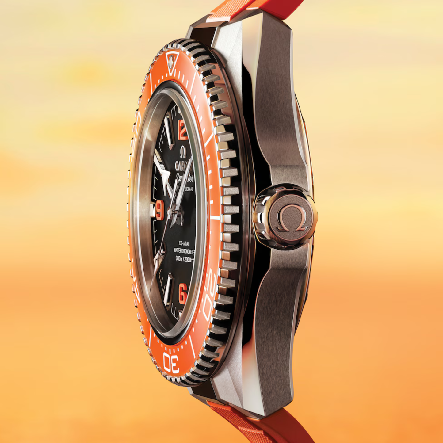 OMEGA SEAMASTER PLANET OCEAN 600M