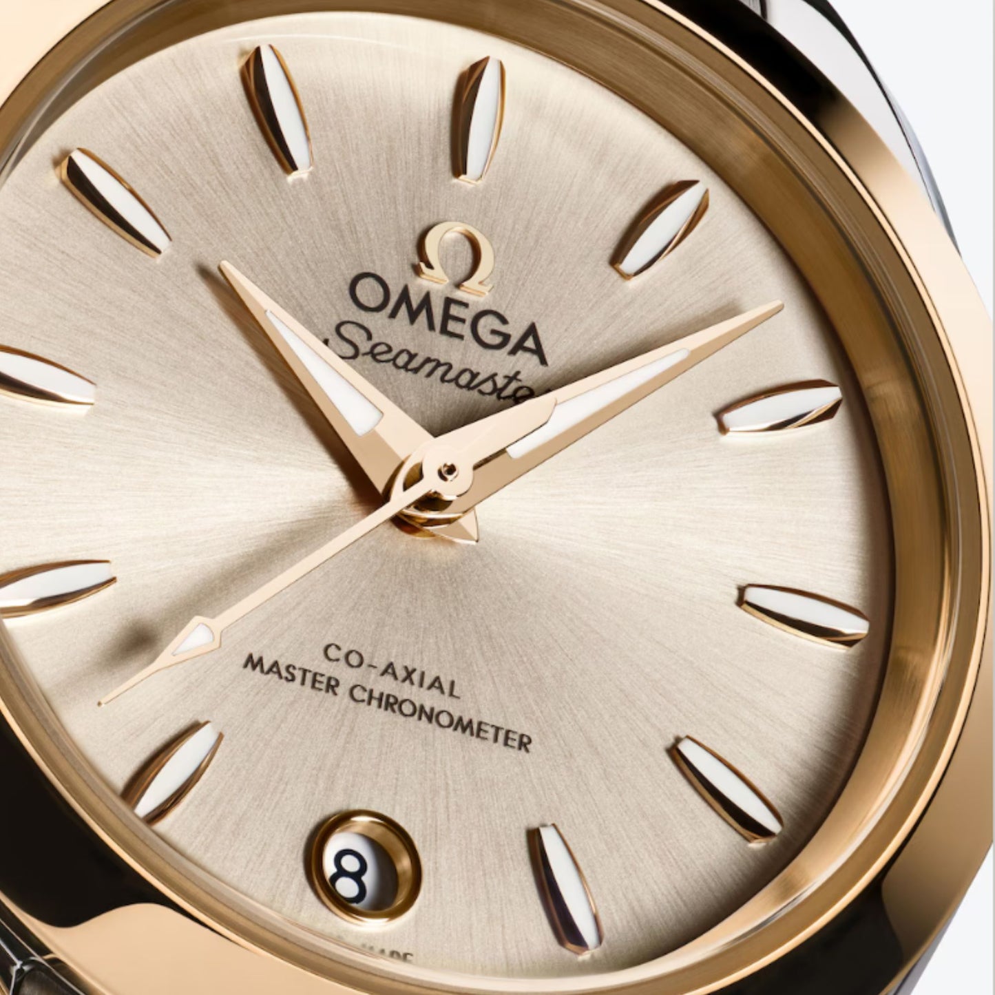 OMEGA SEAMASTER AQUA TERRA CO AXIAL MASTER  CHRONOMETER 30MM