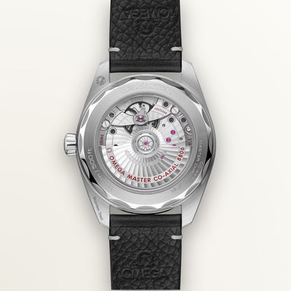 OMEGA SEAMASTER RAILMASTER