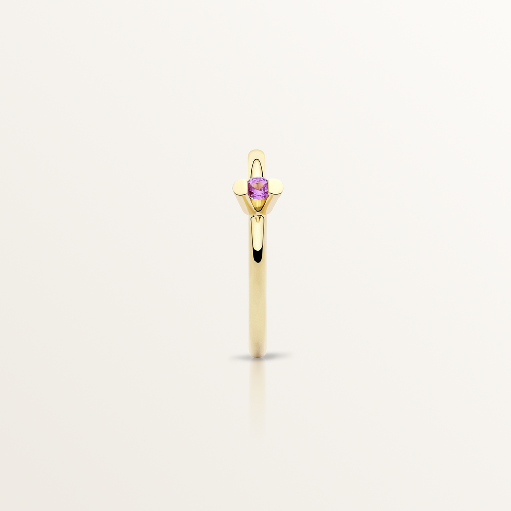 1500x1500_72dpi_RING_MI_TW_0012_Edit.png