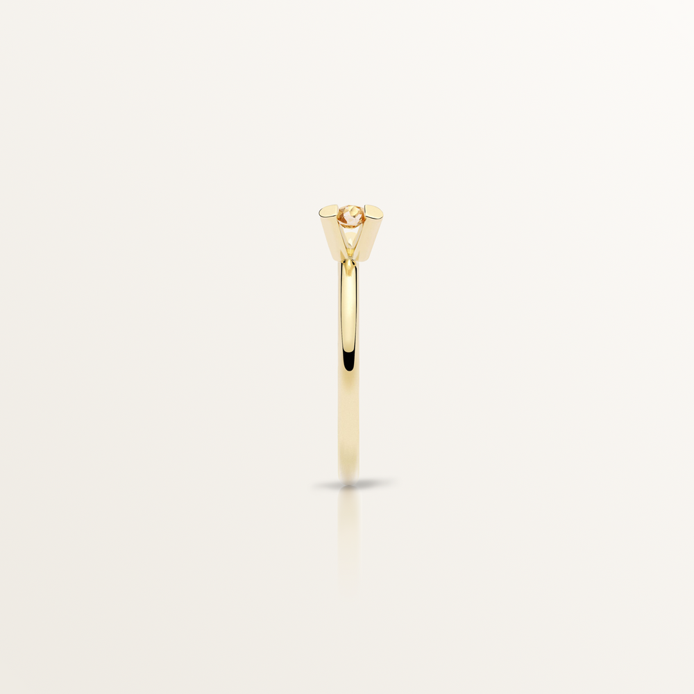 1500x1500_72dpi_RING_MI_TW_0013_Edit.png