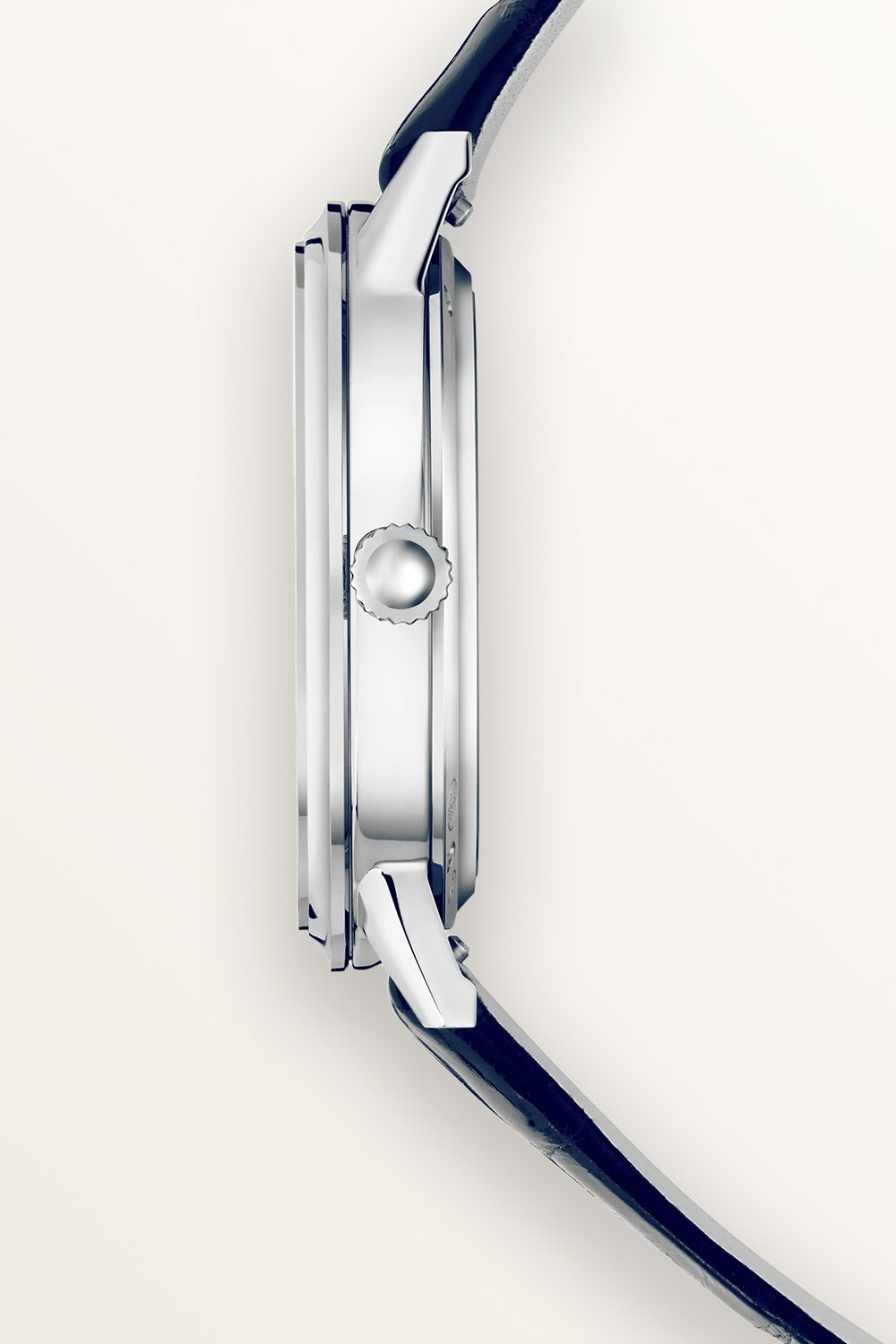 1500x1500_72dpi_03.png