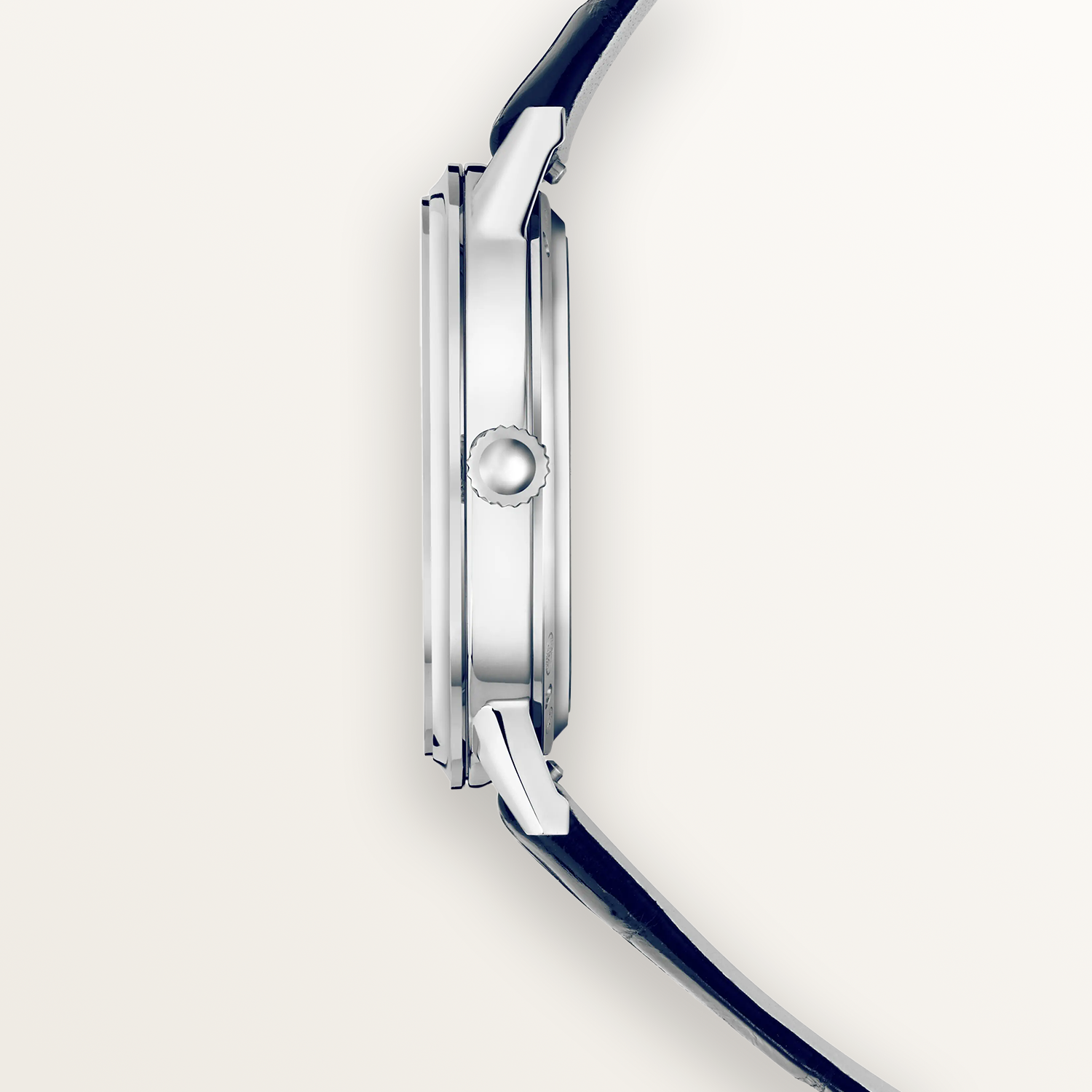 1500x1500_72dpi_03.png