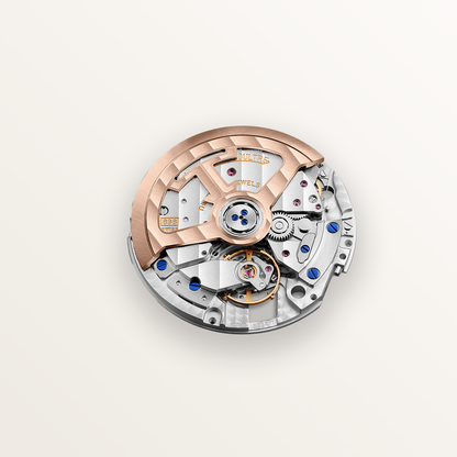 1500x1500_72dpi_07.png